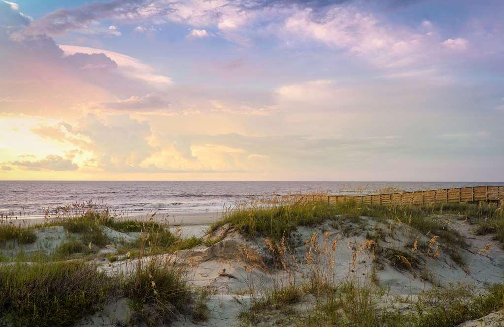 Jekyll Ocean Club Resort Jekyll Island Natur bild